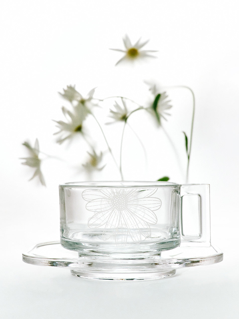 [Mardi Mercredi X ARNO] CUP & SAUCER_CLEAR